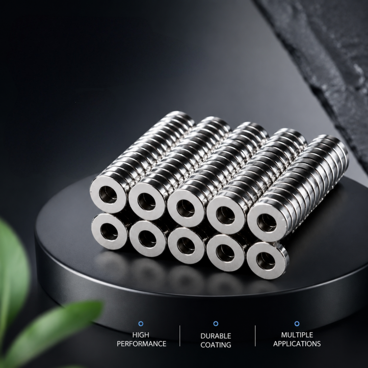 rare earth ring magnet